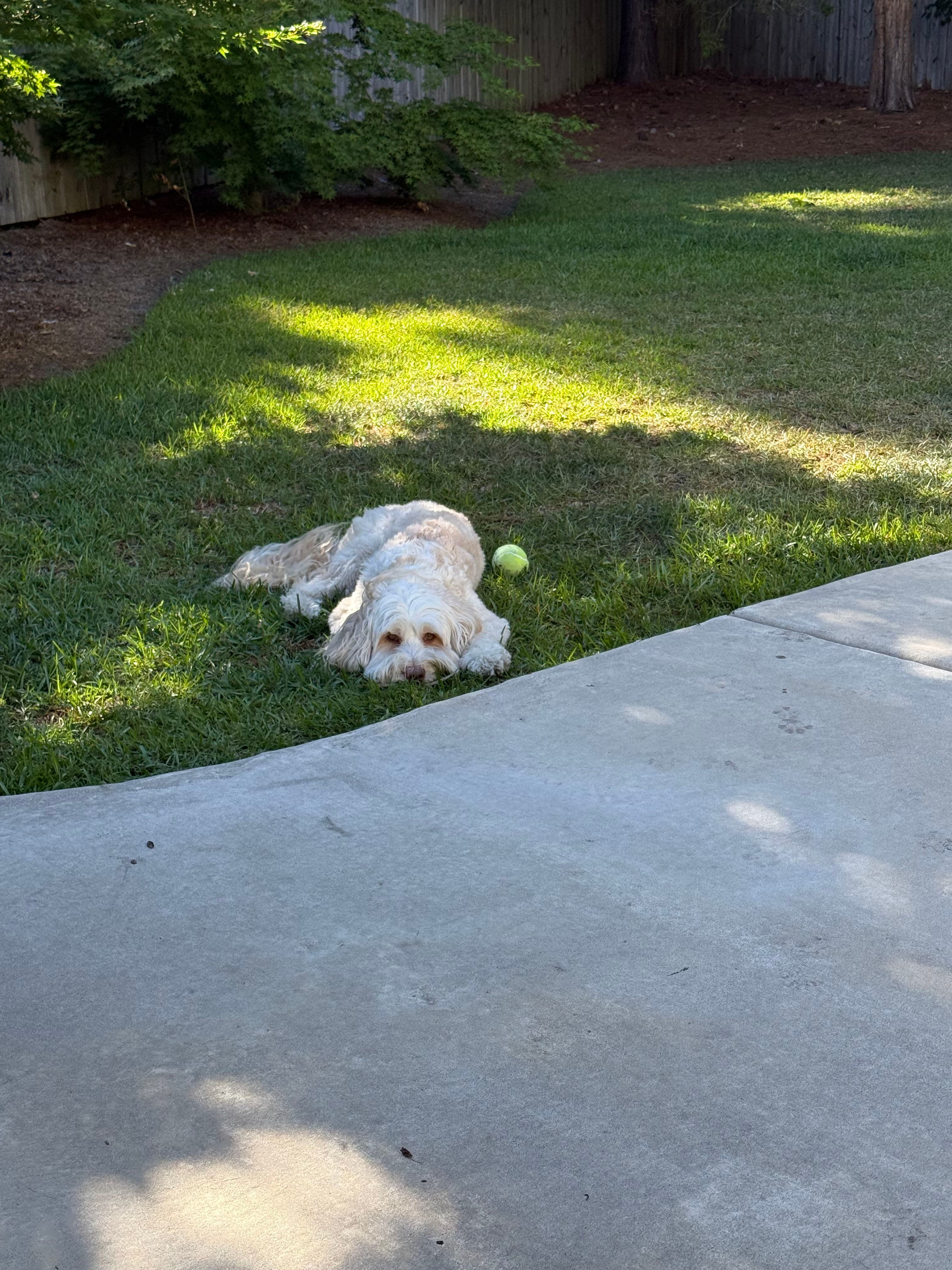Project Get Your AC Ready Before the Summer Heat Arrives image