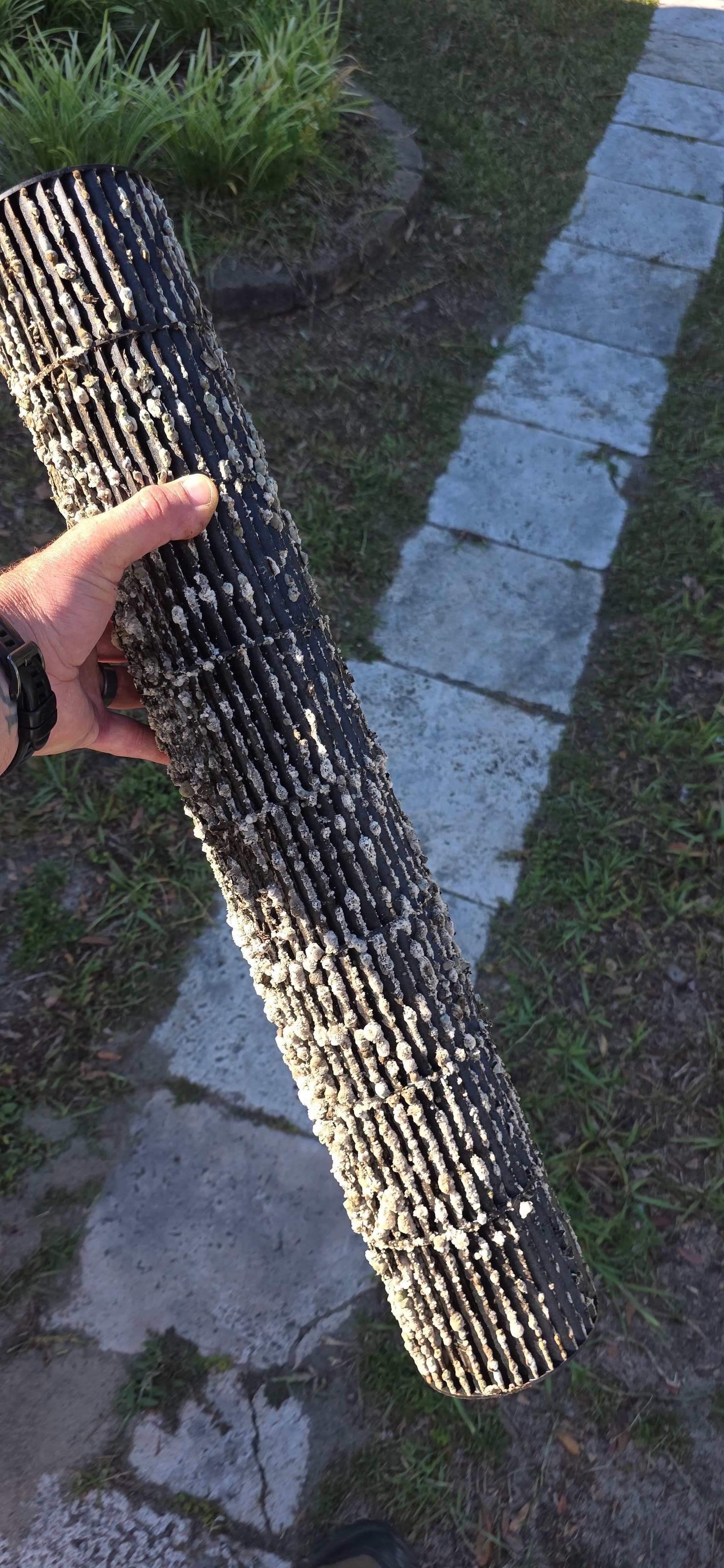 Mini Split Blower Wheel Cleaning in Porters Neck image