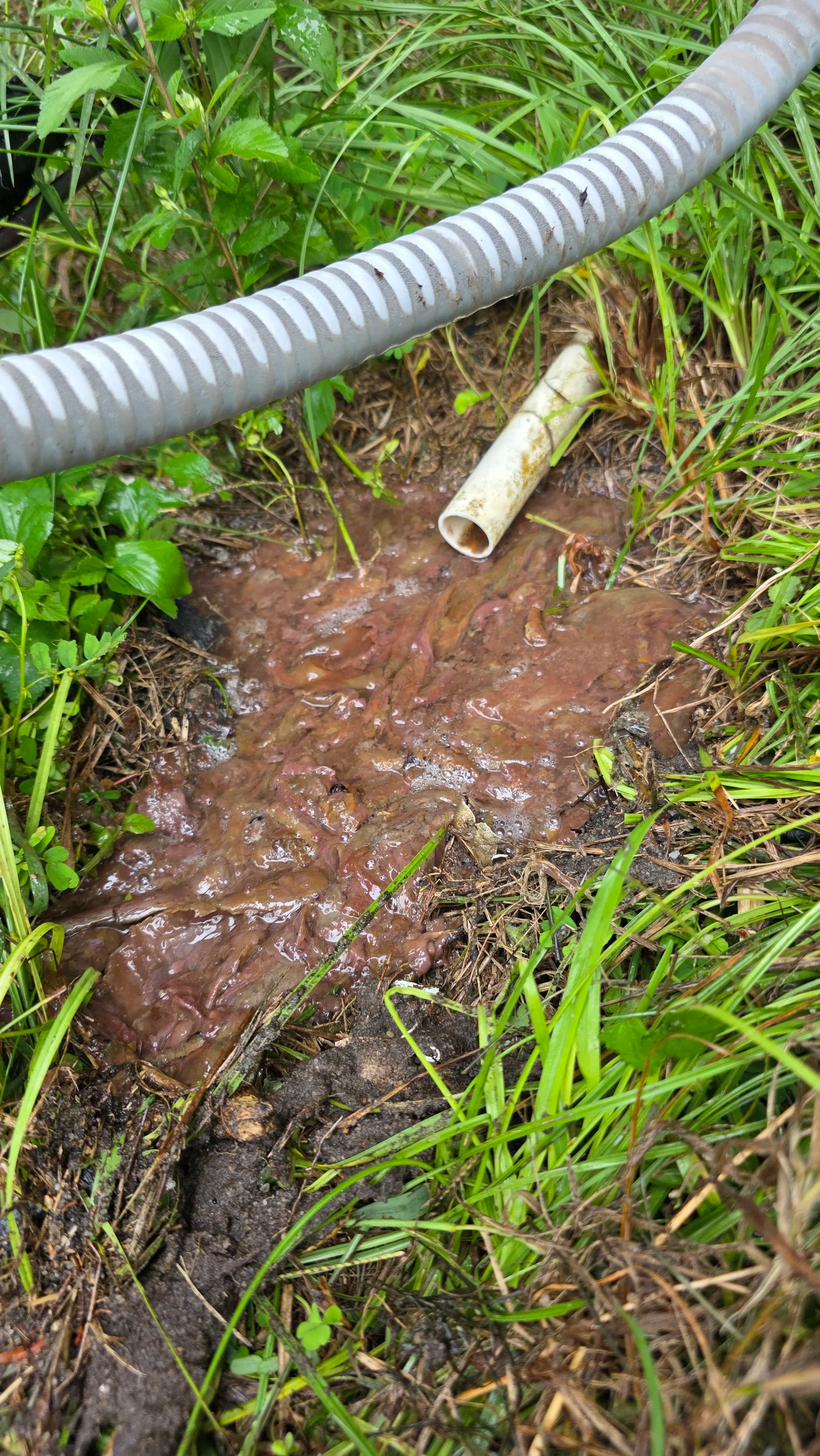 Project A Clogged Drain Line You Definitely Don't Want to Ignore image