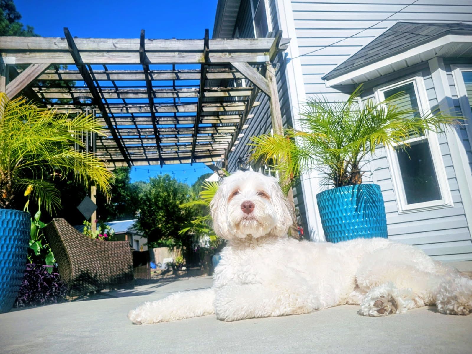 Project Stay Comfy This Summer with JVAC Heating & Air image