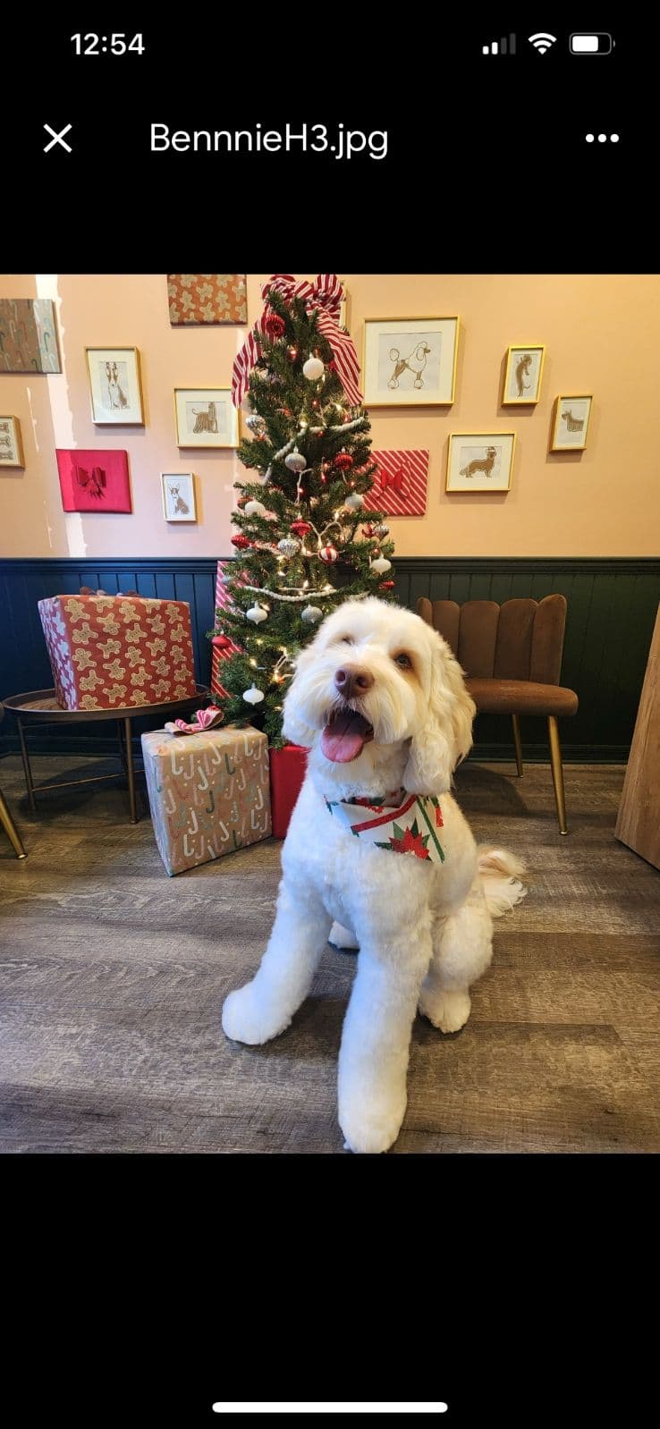 Season's Greetings from JVAC Heating & Air! image