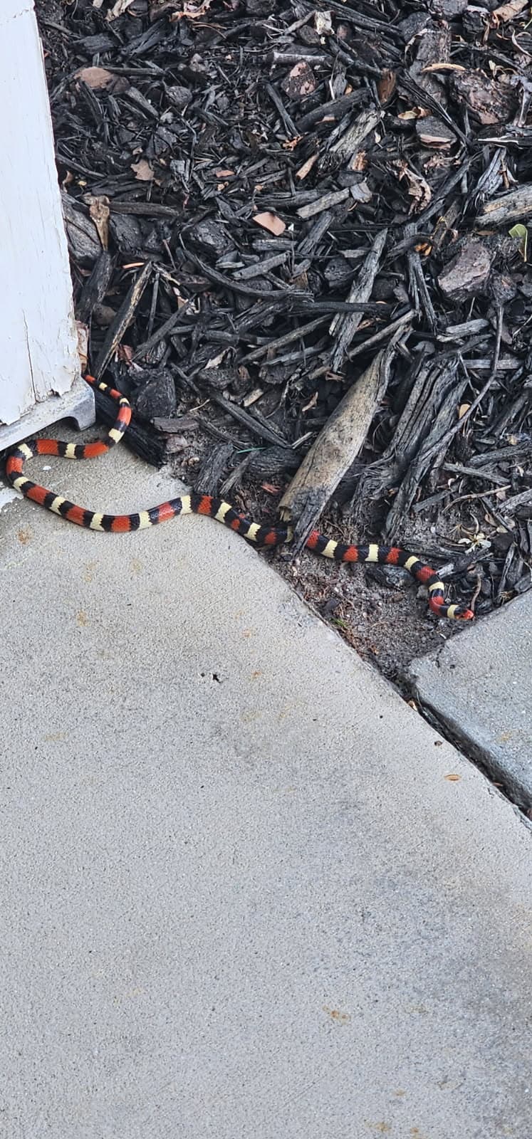 Project Spring Equipment Upgrades with JVAC Heating & Air image