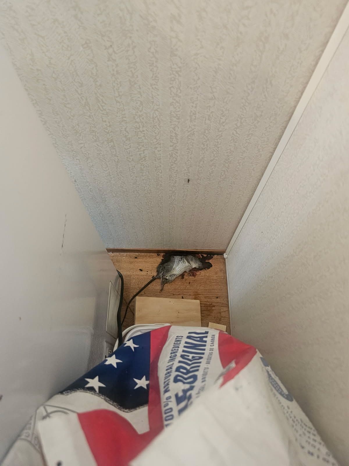 Gallery photos for Comprehensive HVAC and Pest Solutions: Image #1