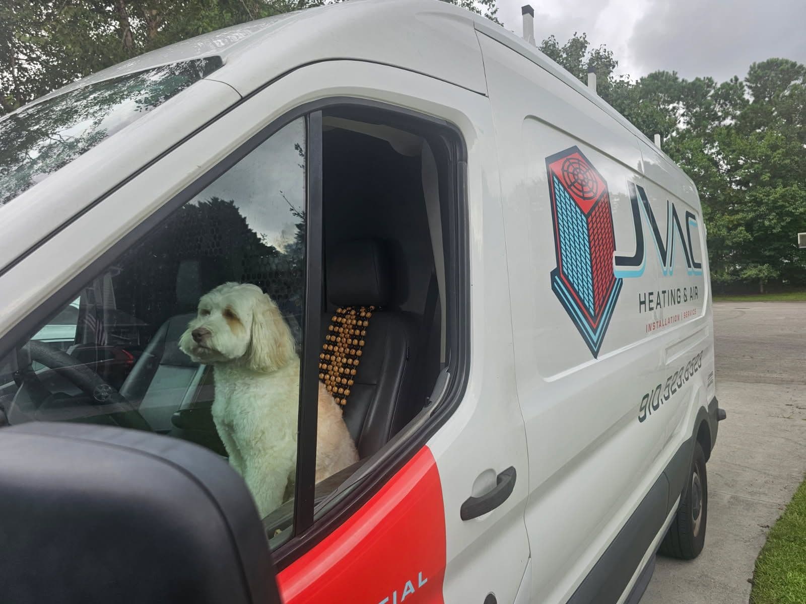 Meet JVAC's Newest Team Member image