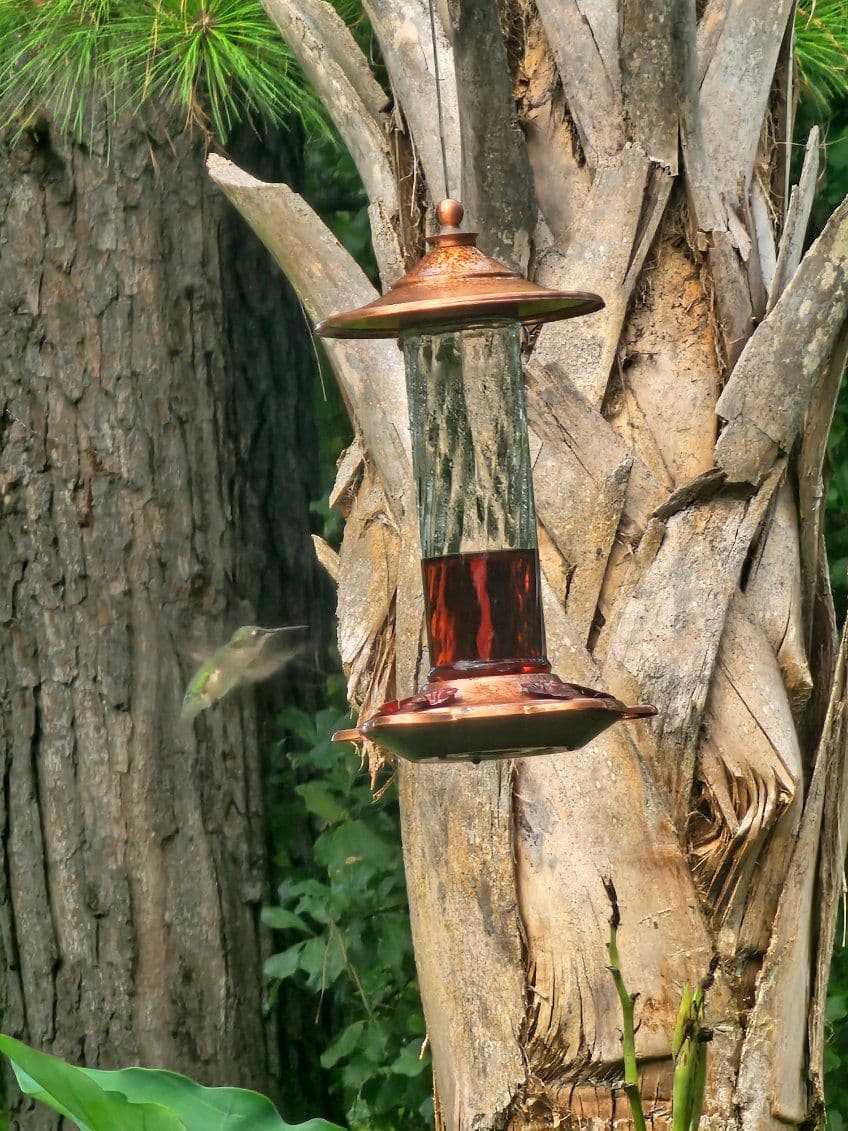 Gallery photos for From Fixing TXVs to Enjoying Nature's Beauty: Image #2